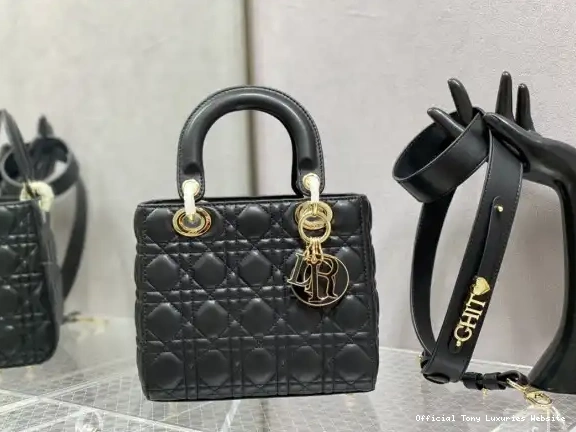 Tony Luxuries DI0R-20CM LADY 0422